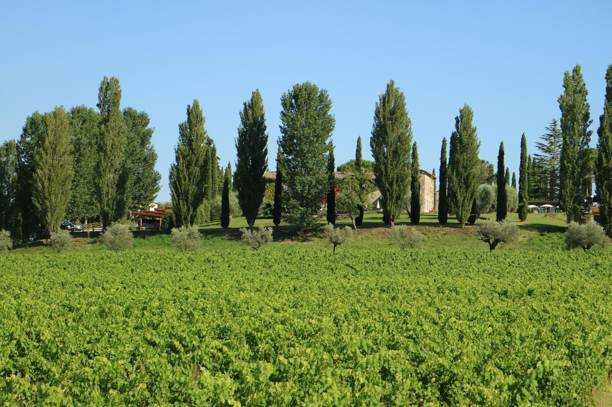 Agriturismo La Sovana Sarteano Exterior foto