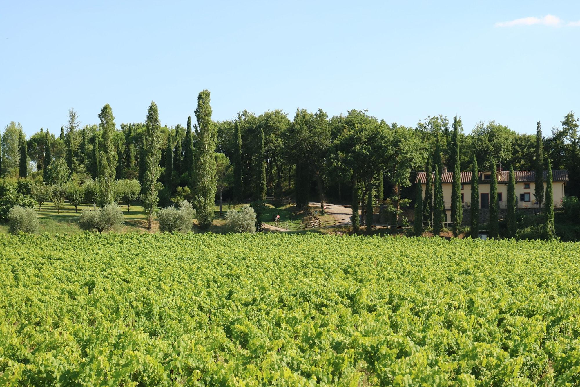 Agriturismo La Sovana Sarteano Exterior foto