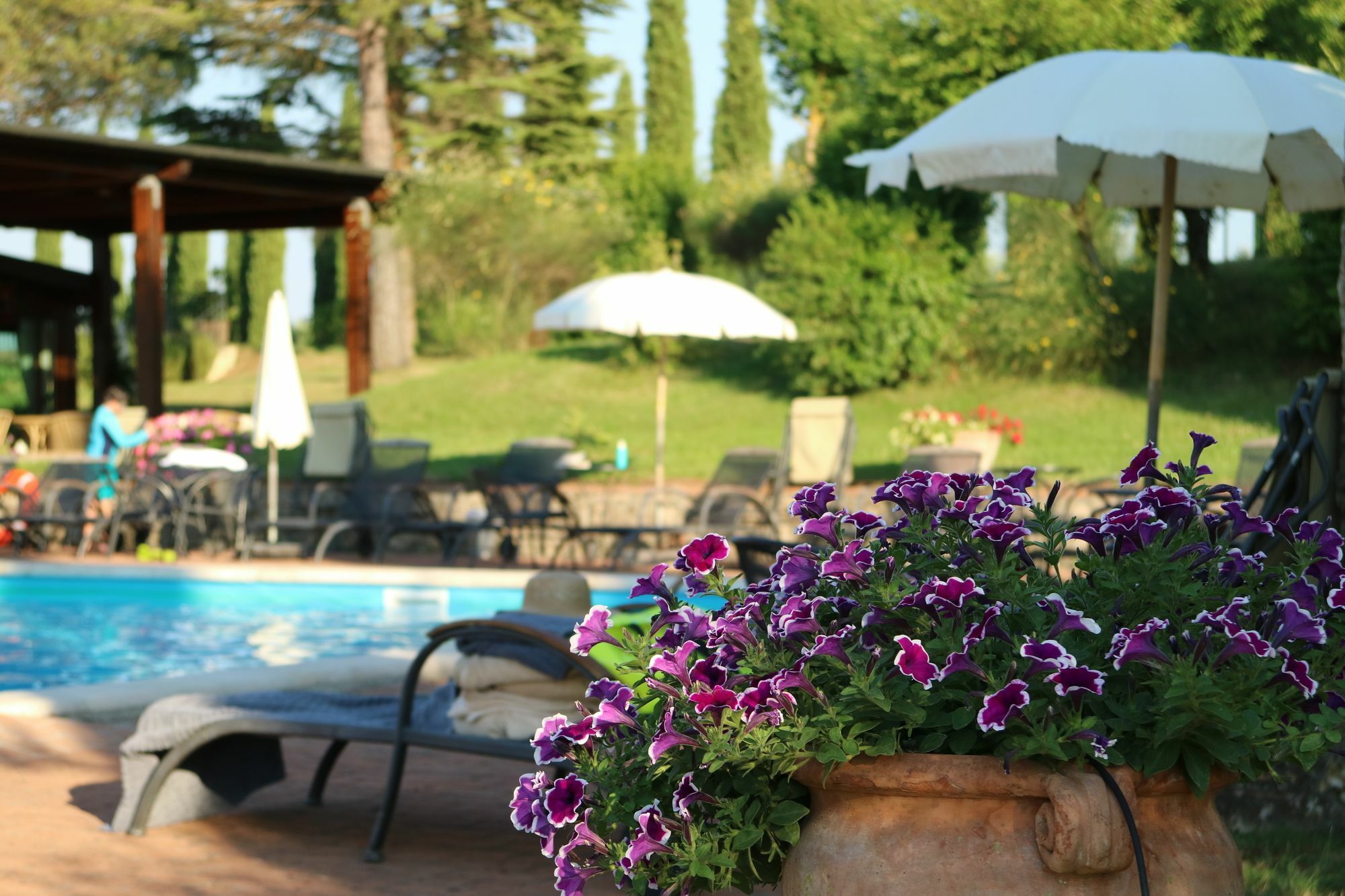Agriturismo La Sovana Sarteano Exterior foto